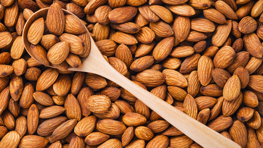 Découvrez les différentes variétés d'amandes : Classiques, Amères d'Abricot et Douces d'Abricot