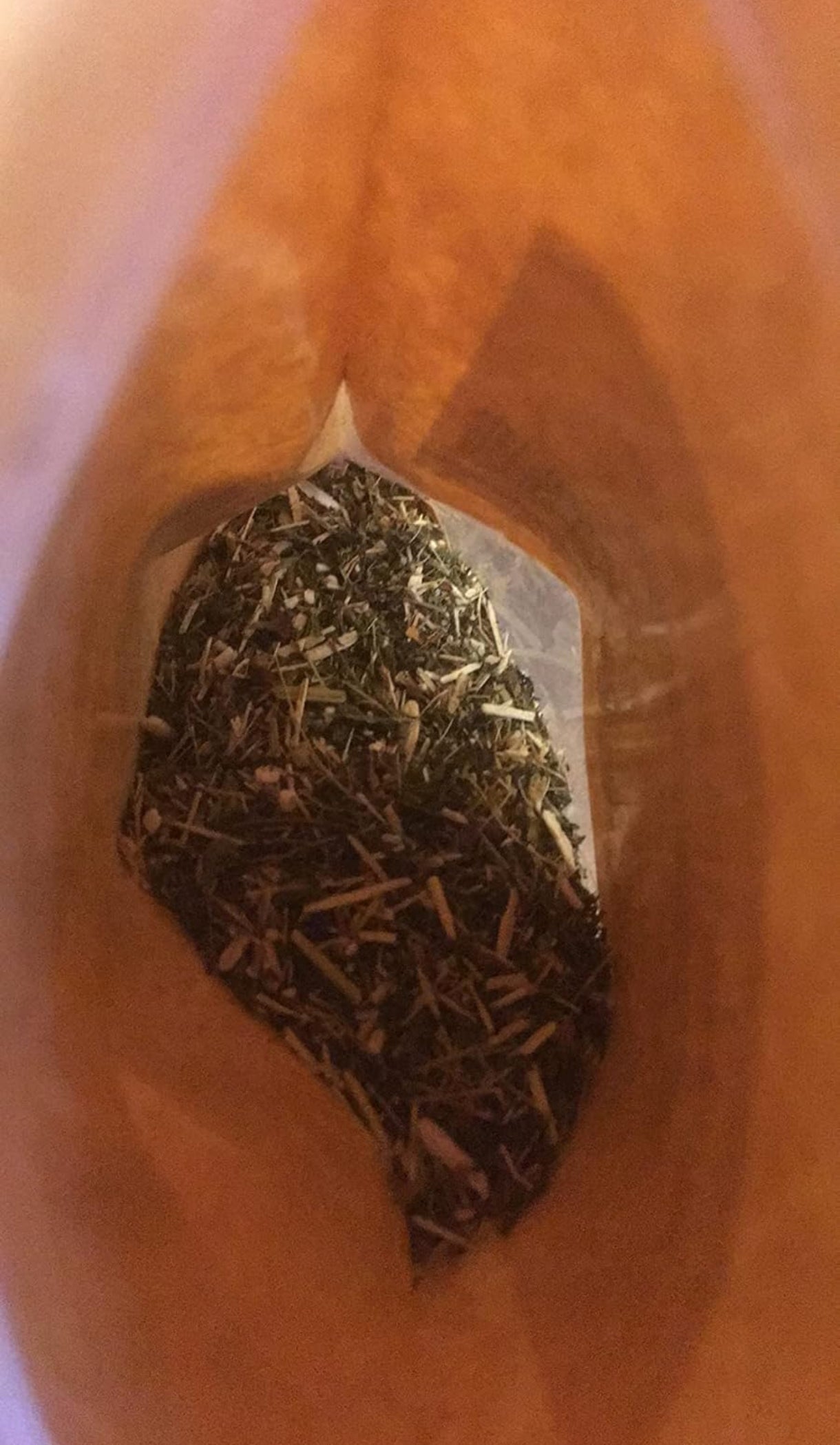 Infusion Artemisia annua