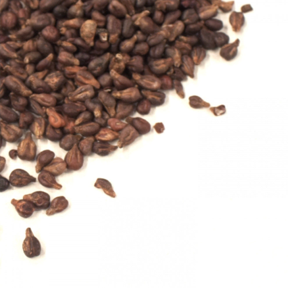 Pépins de raisin noir