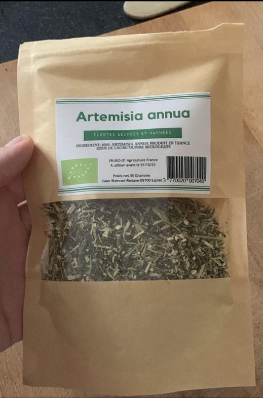 Infusion Artemisia annua