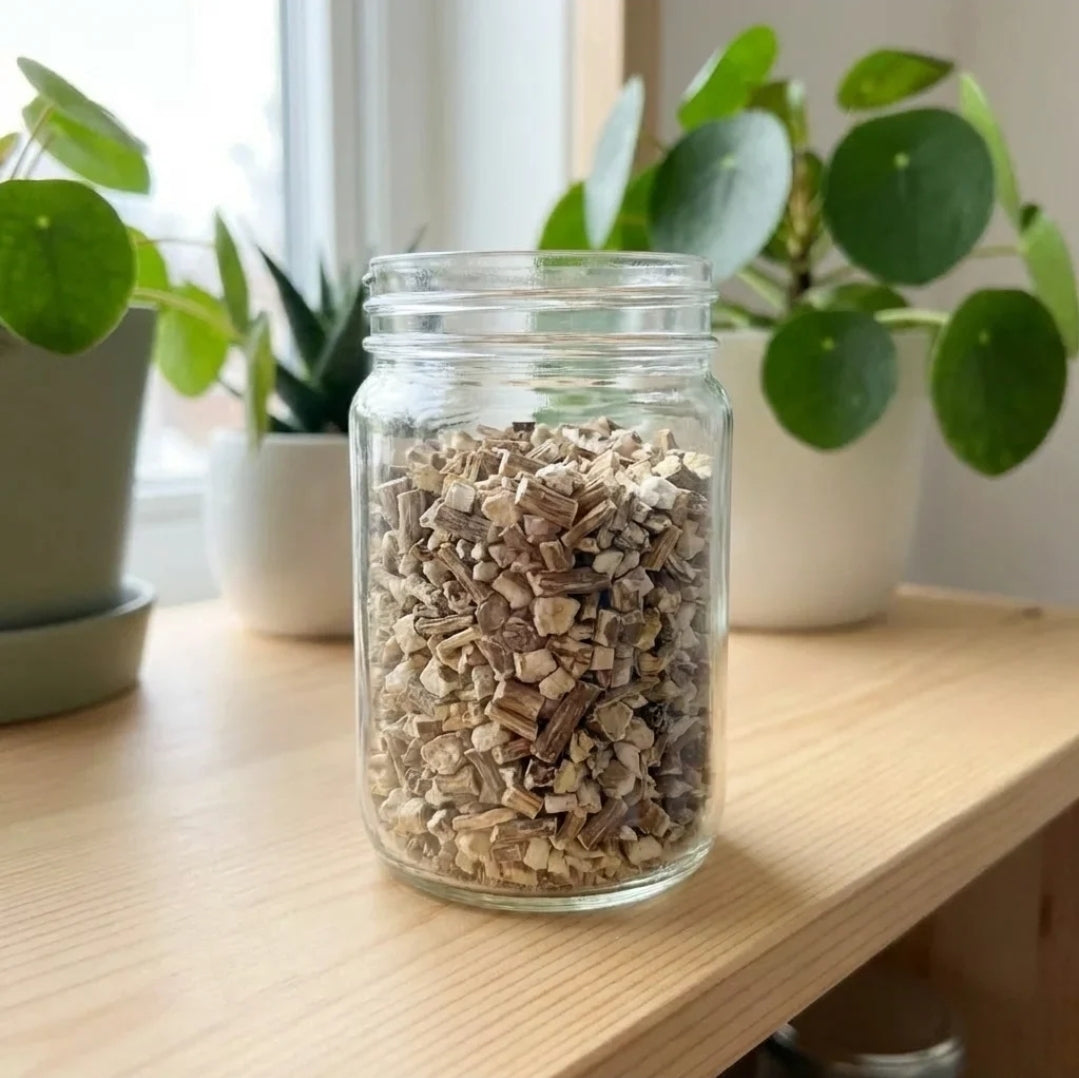 Racine de pissenlit (dandelion root)