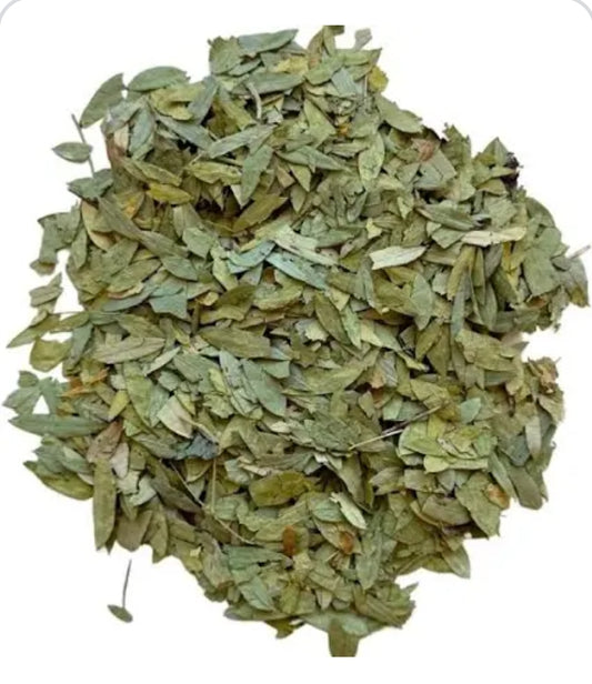 Infusion Séné